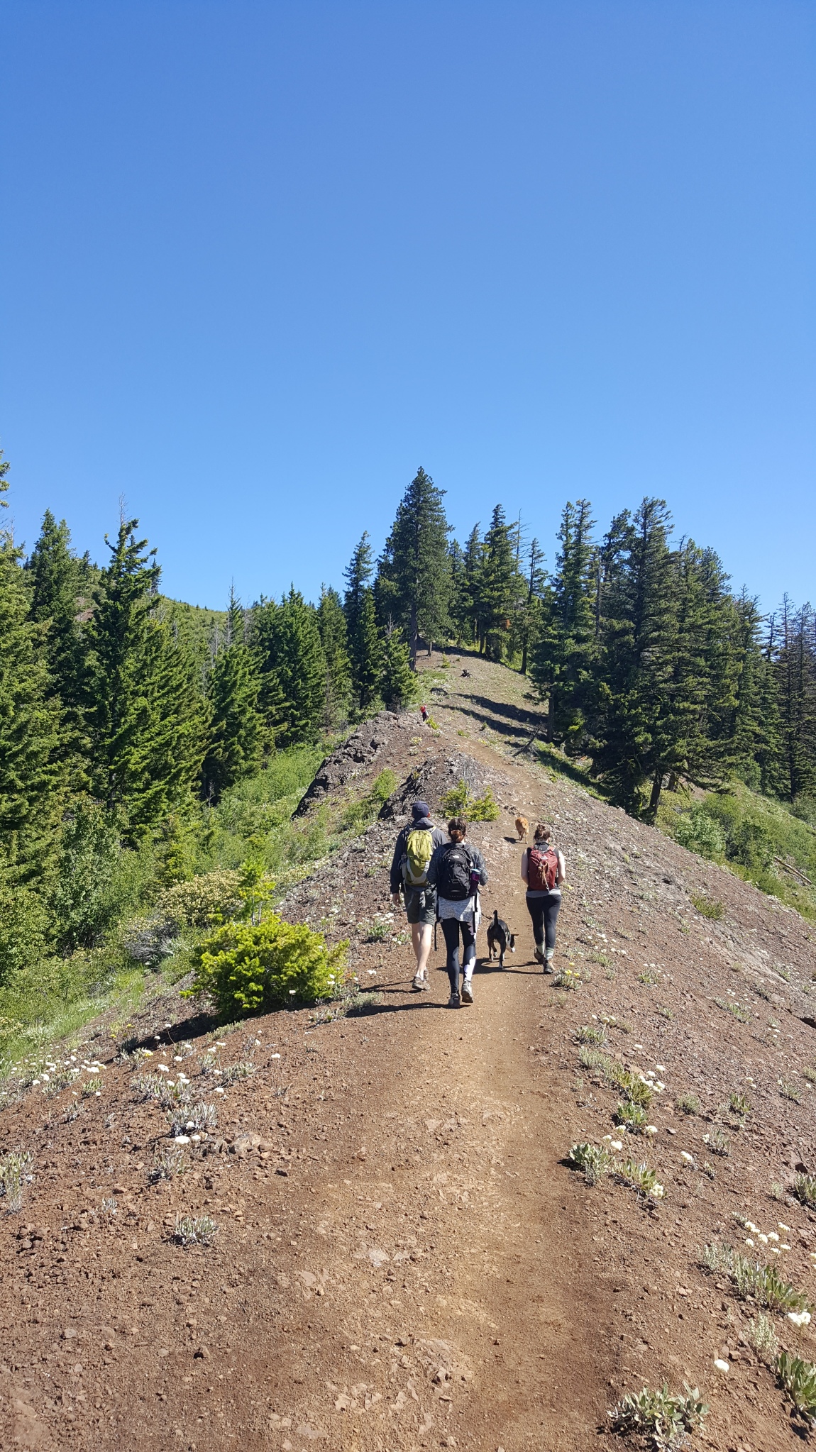 Iron Bear – Teanaway Ridge Trail | Mr and Mrs Smith Go To Washington